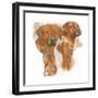 Rhodisian Ridgeback-Barbara Keith-Framed Giclee Print