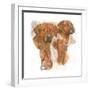 Rhodisian Ridgeback-Barbara Keith-Framed Giclee Print