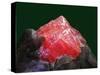 Rhodochrosite mineral from China's Wuton mine-Walter Geiersperger-Stretched Canvas