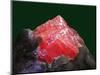 Rhodochrosite mineral from China's Wuton mine-Walter Geiersperger-Mounted Photographic Print
