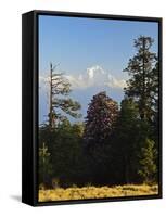 Rhododendron and Dhaulagiri Himal Seen from Poon Hill, Dhawalagiri (Dhaulagiri), Nepal-Jochen Schlenker-Framed Stretched Canvas