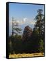 Rhododendron and Dhaulagiri Himal Seen from Poon Hill, Dhawalagiri (Dhaulagiri), Nepal-Jochen Schlenker-Framed Stretched Canvas