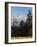 Rhododendron and Dhaulagiri Himal Seen from Poon Hill, Dhawalagiri (Dhaulagiri), Nepal-Jochen Schlenker-Framed Photographic Print