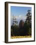 Rhododendron and Dhaulagiri Himal Seen from Poon Hill, Dhawalagiri (Dhaulagiri), Nepal-Jochen Schlenker-Framed Photographic Print