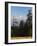 Rhododendron and Dhaulagiri Himal Seen from Poon Hill, Dhawalagiri (Dhaulagiri), Nepal-Jochen Schlenker-Framed Photographic Print