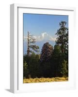 Rhododendron and Dhaulagiri Himal Seen from Poon Hill, Dhawalagiri (Dhaulagiri), Nepal-Jochen Schlenker-Framed Photographic Print