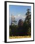 Rhododendron and Dhaulagiri Himal Seen from Poon Hill, Dhawalagiri (Dhaulagiri), Nepal-Jochen Schlenker-Framed Photographic Print