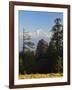 Rhododendron and Dhaulagiri Himal Seen from Poon Hill, Dhawalagiri (Dhaulagiri), Nepal-Jochen Schlenker-Framed Photographic Print