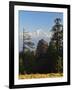 Rhododendron and Dhaulagiri Himal Seen from Poon Hill, Dhawalagiri (Dhaulagiri), Nepal-Jochen Schlenker-Framed Photographic Print