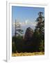 Rhododendron and Dhaulagiri Himal Seen from Poon Hill, Dhawalagiri (Dhaulagiri), Nepal-Jochen Schlenker-Framed Photographic Print