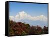 Rhododendron and Dhaulagiri Himal Seen from Poon Hill, Dhawalagiri (Dhaulagiri), Nepal-Jochen Schlenker-Framed Stretched Canvas