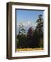 Rhododendron and Dhaulagiri Himal Seen from Poon Hill, Dhawalagiri (Dhaulagiri), Nepal-Jochen Schlenker-Framed Premium Photographic Print