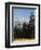 Rhododendron and Dhaulagiri Himal Seen from Poon Hill, Dhawalagiri (Dhaulagiri), Nepal-Jochen Schlenker-Framed Premium Photographic Print