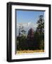 Rhododendron and Dhaulagiri Himal Seen from Poon Hill, Dhawalagiri (Dhaulagiri), Nepal-Jochen Schlenker-Framed Premium Photographic Print