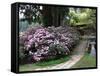 Rhododendron and Temple-null-Framed Stretched Canvas