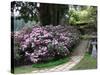 Rhododendron and Temple-null-Stretched Canvas