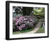 Rhododendron and Temple-null-Framed Photographic Print