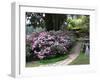 Rhododendron and Temple-null-Framed Photographic Print