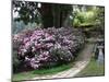 Rhododendron and Temple-null-Mounted Photographic Print