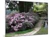 Rhododendron and Temple-null-Mounted Photographic Print