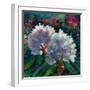 Rhododendron Portrait I-Anne Farrall Doyle-Framed Art Print