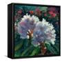 Rhododendron Portrait I-Anne Farrall Doyle-Framed Stretched Canvas