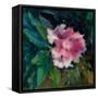 Rhododendron Portrait II-Anne Farrall Doyle-Framed Stretched Canvas