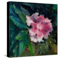 Rhododendron Portrait II-Anne Farrall Doyle-Stretched Canvas