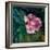 Rhododendron Portrait II-Anne Farrall Doyle-Framed Art Print