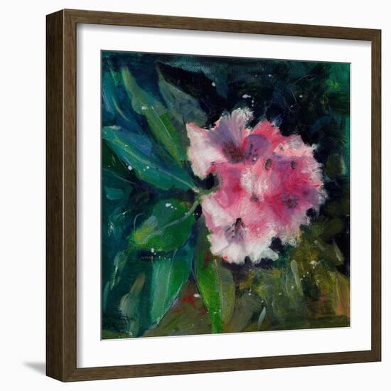 Rhododendron Portrait II-Anne Farrall Doyle-Framed Art Print