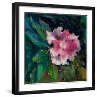 Rhododendron Portrait II-Anne Farrall Doyle-Framed Art Print