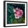 Rhododendron Portrait II-Anne Farrall Doyle-Framed Art Print