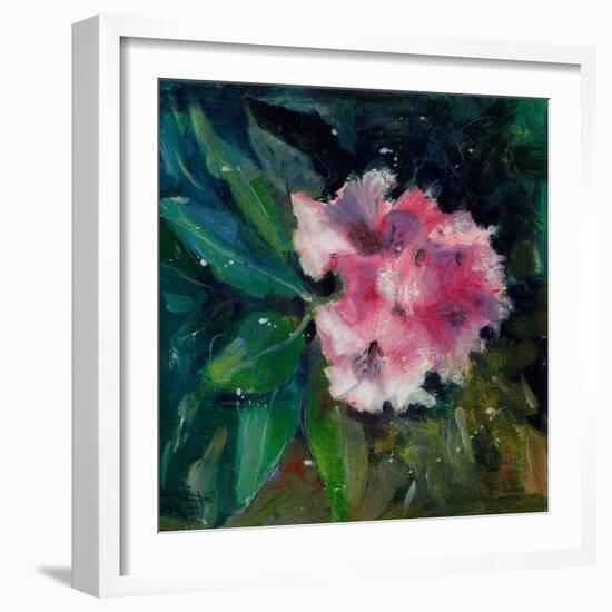 Rhododendron Portrait II-Anne Farrall Doyle-Framed Art Print