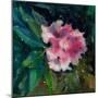 Rhododendron Portrait II-Anne Farrall Doyle-Mounted Art Print