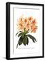 Rhododendron Smithii Aurea-H.g. Moon-Framed Art Print