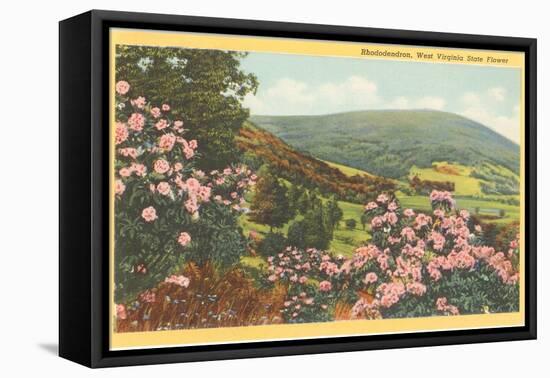 Rhododendron, State Flower of West Virginia-null-Framed Stretched Canvas