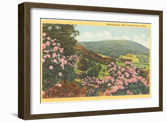 Rhododendron, State Flower of West Virginia-null-Framed Art Print