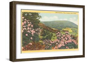 Rhododendron, State Flower of West Virginia-null-Framed Art Print