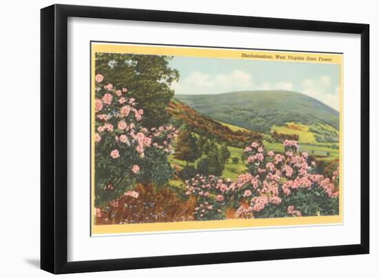 Rhododendron, State Flower of West Virginia-null-Framed Art Print