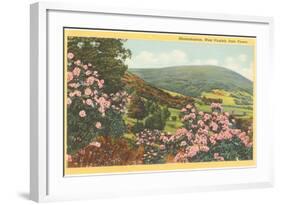 Rhododendron, State Flower of West Virginia-null-Framed Art Print