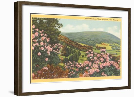 Rhododendron, State Flower of West Virginia-null-Framed Art Print