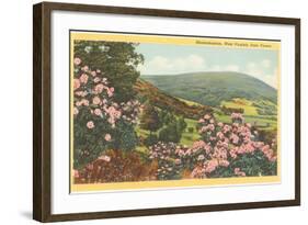 Rhododendron, State Flower of West Virginia-null-Framed Art Print