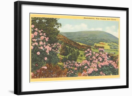 Rhododendron, State Flower of West Virginia-null-Framed Art Print