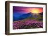 Rhododendron & Summer Mountain-null-Framed Art Print