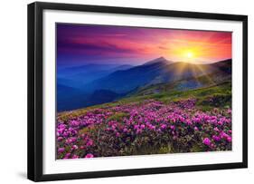 Rhododendron & Summer Mountain-null-Framed Art Print