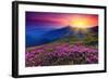 Rhododendron & Summer Mountain-null-Framed Art Print