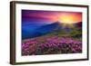 Rhododendron & Summer Mountain-null-Framed Art Print