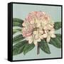 Rhododendron-Sarah E^ Chilton-Framed Stretched Canvas