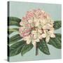 Rhododendron-Sarah E^ Chilton-Stretched Canvas