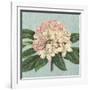 Rhododendron-Sarah E^ Chilton-Framed Art Print